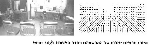 איור לתרשים סיכות